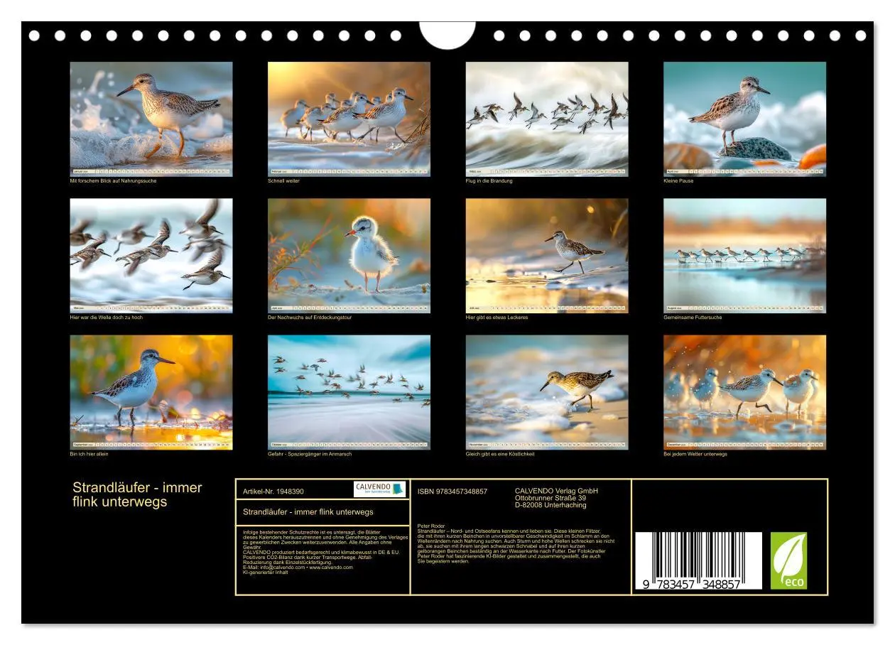 Bild: 9783457348857 | Strandläufer - immer flink unterwegs (Wandkalender 2026 DIN A4...