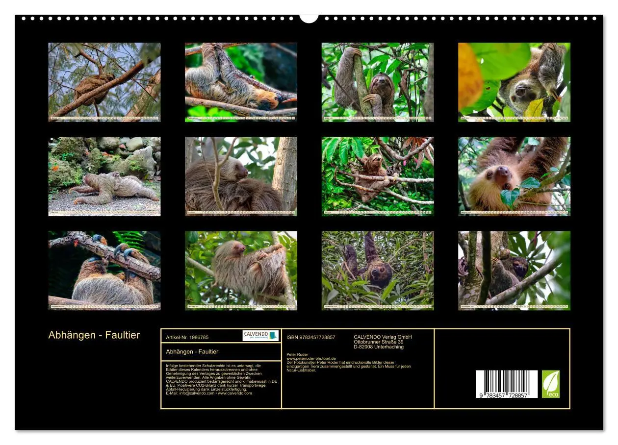 Bild: 9783457728857 | Abhängen - Faultier (hochwertiger Premium Wandkalender 2026 DIN A2...