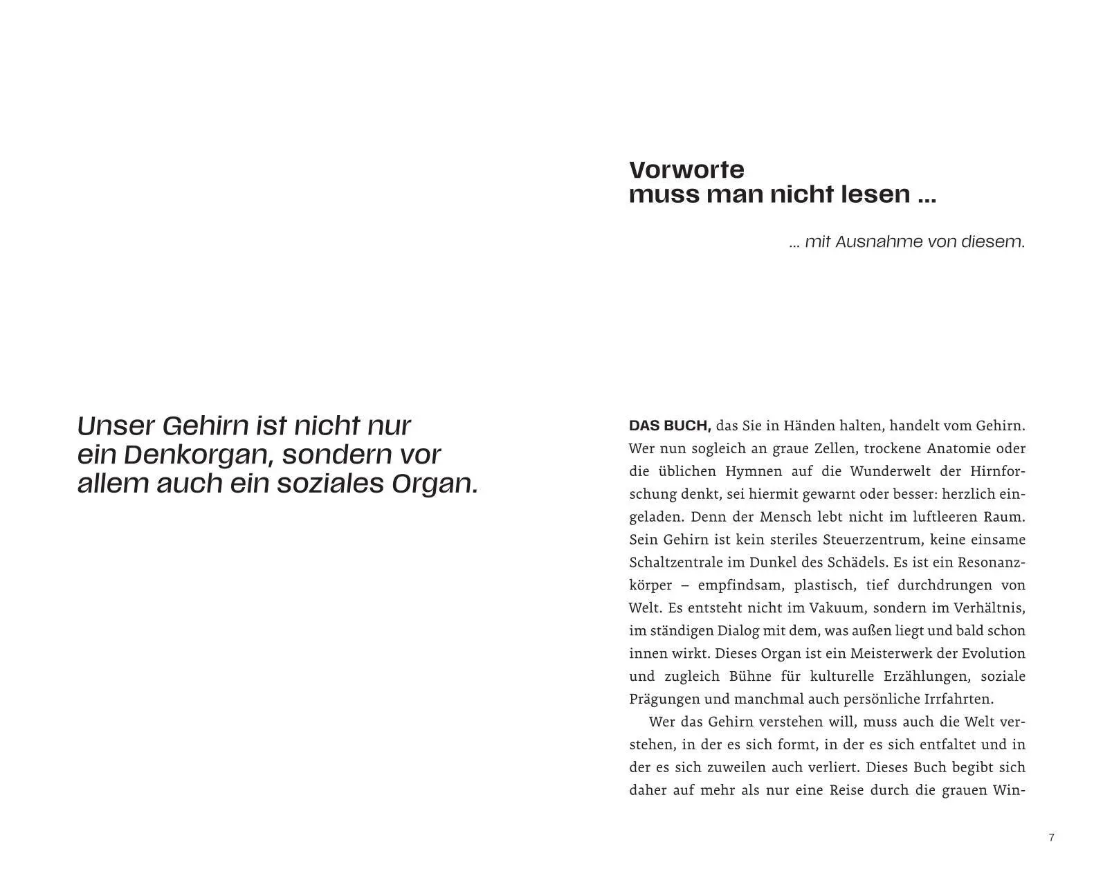 Bild: 9783708808857 | Ein Date mit deinem Gehirn | Damir del Monte | Buch | 248 S. | Deutsch