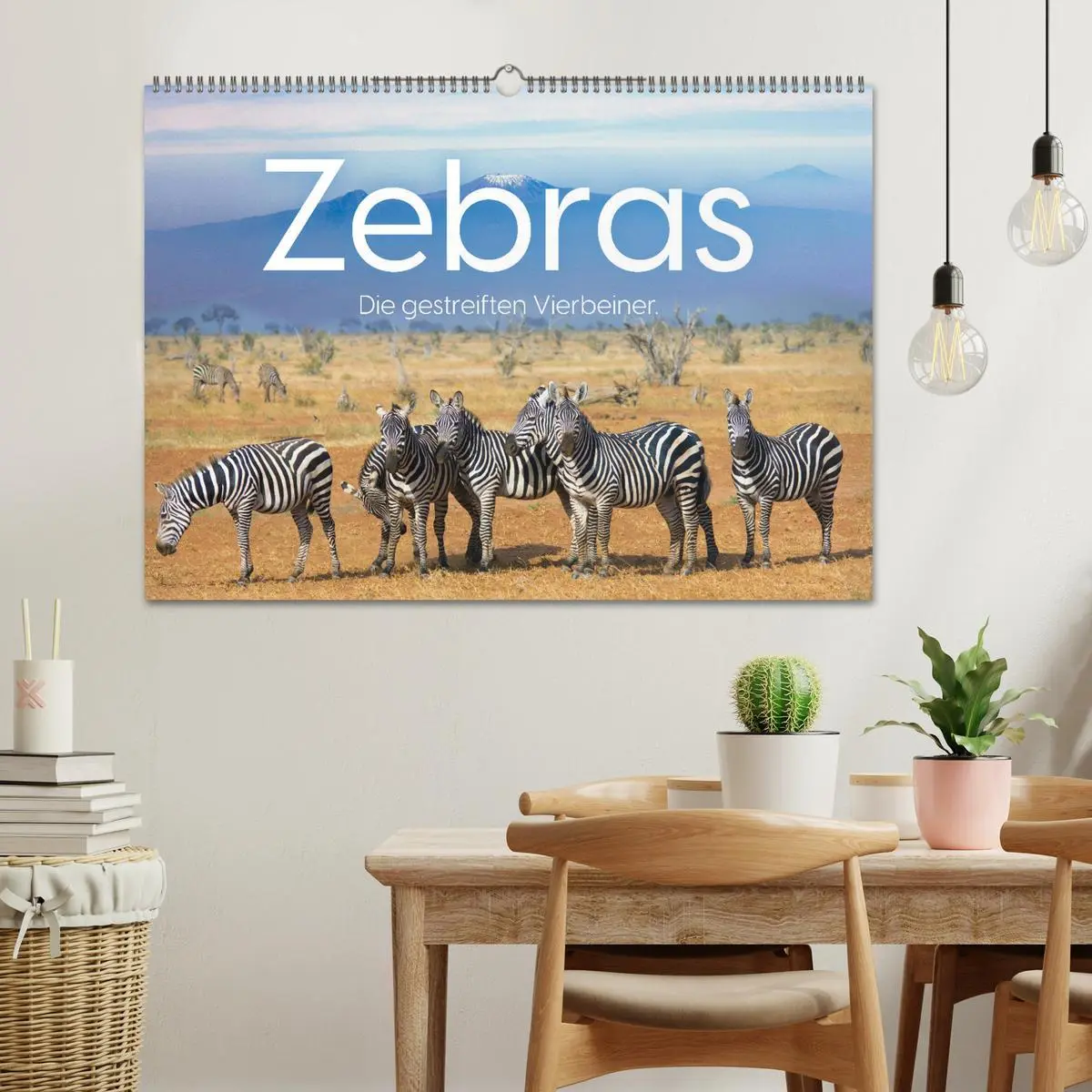 Bild: 9783457539057 | Zebras - Die gestreiften Vierbeiner. (Wandkalender 2026 DIN A2...
