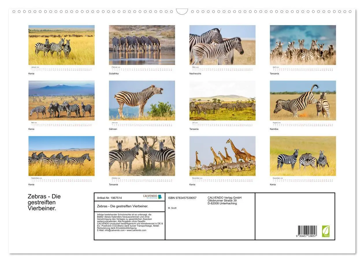 Bild: 9783457539057 | Zebras - Die gestreiften Vierbeiner. (Wandkalender 2026 DIN A2...