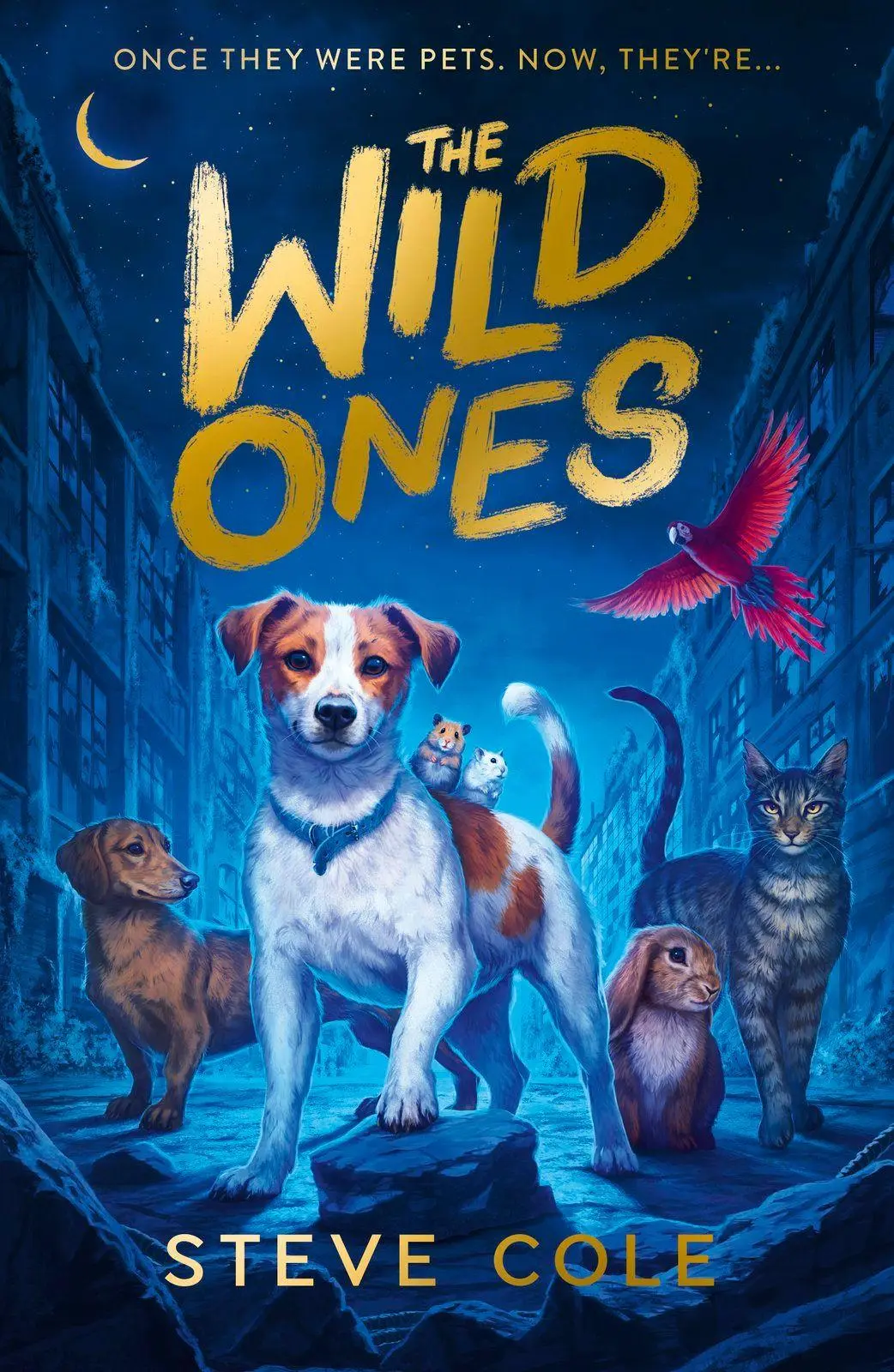 Cover: 9780702349157 | The Wild Ones | Steve Cole | Taschenbuch | Englisch | 2026