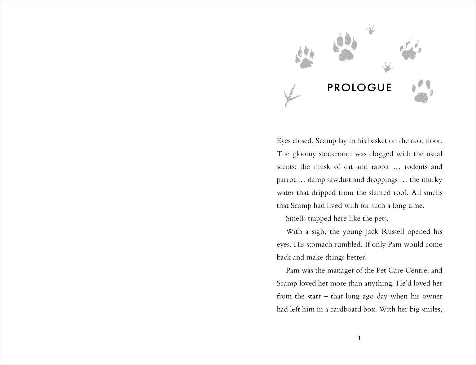 Bild: 9780702349157 | The Wild Ones | Steve Cole | Taschenbuch | Englisch | 2026