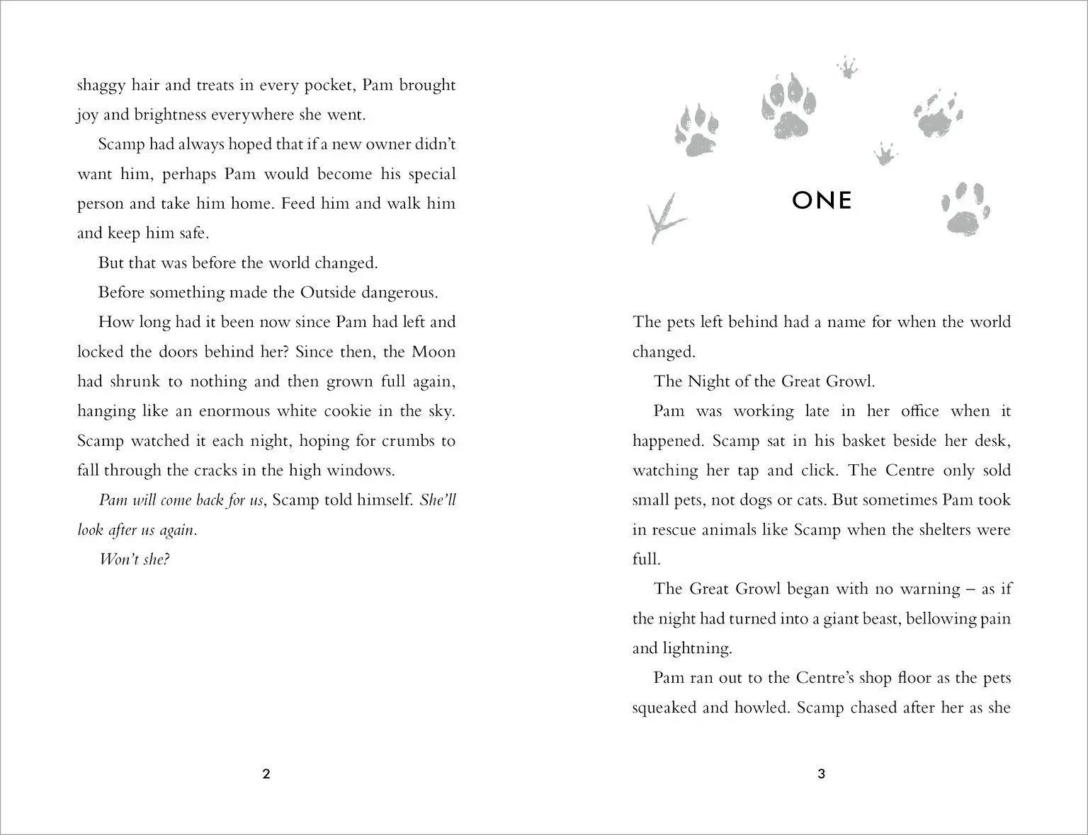 Bild: 9780702349157 | The Wild Ones | Steve Cole | Taschenbuch | Englisch | 2026
