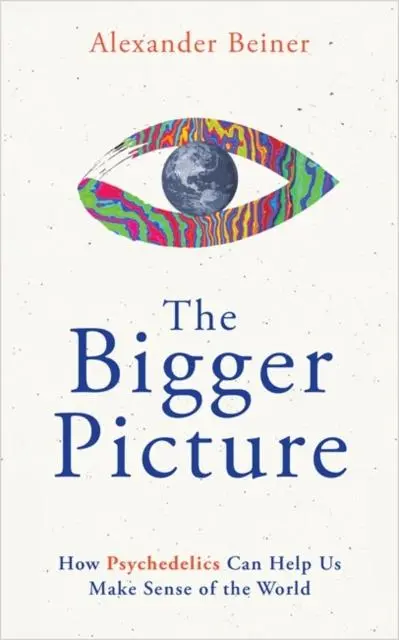 Cover: 9781788179157 | The Bigger Picture | Alexander Beiner | Taschenbuch | Englisch | 2023