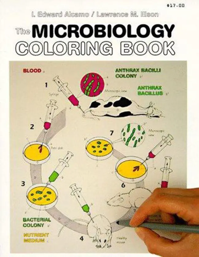 Cover: 9780060419257 | Microbiology Coloring Book | Edward Alcamo (u. a.) | Taschenbuch