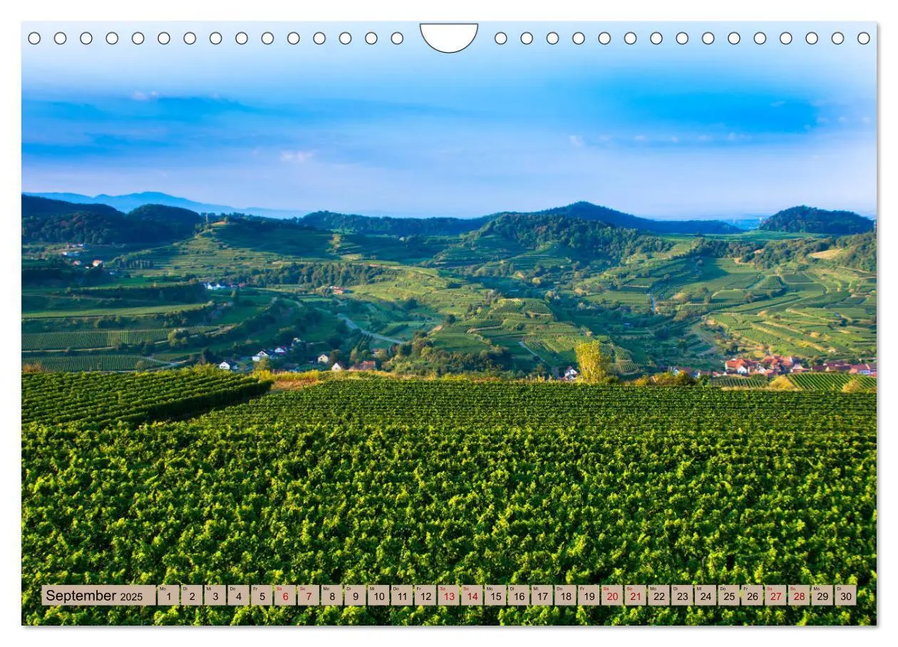 Bild: 9783435429257 | Kaiserstuhlblicke (Wandkalender 2025 DIN A4 quer), CALVENDO...
