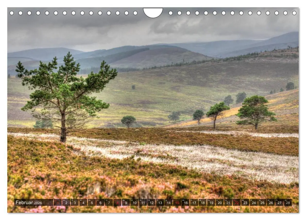 Bild: 9783516159257 | Schottland (Wandkalender 2026 DIN A4 quer), CALVENDO Monatskalender