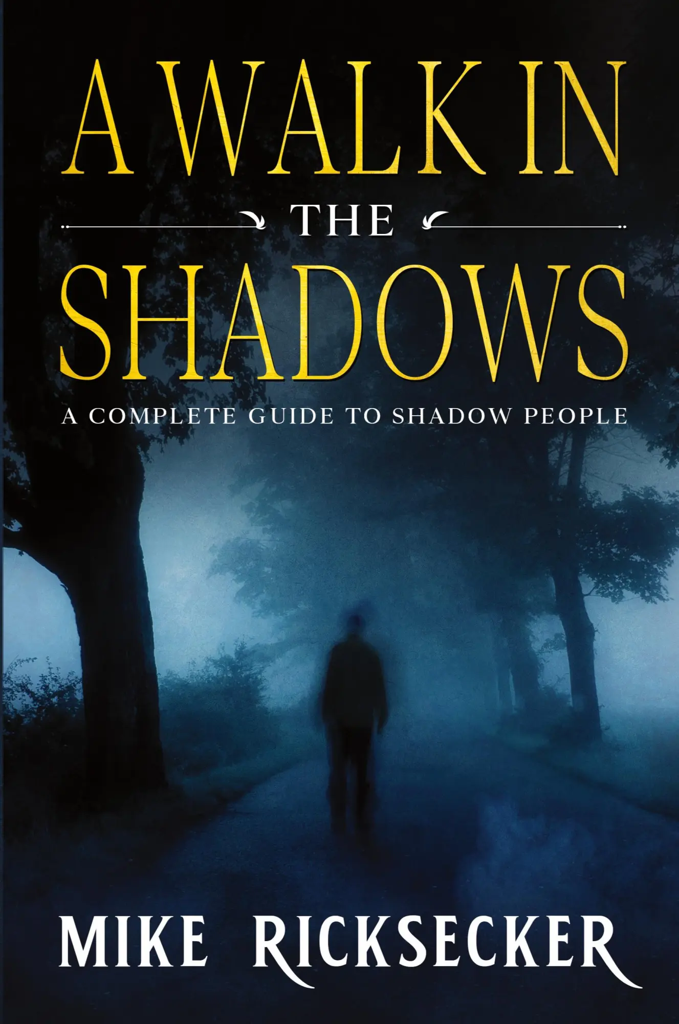 Cover: 9781733919357 | A Walk In The Shadows | A Complete Guide To Shadow People | Ricksecker
