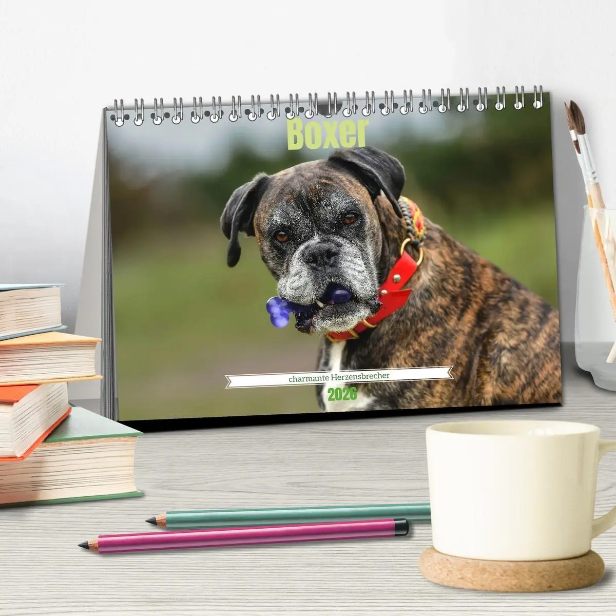 Bild: 9783516699357 | Boxer - charmante Herzensbrecher (Tischkalender 2026 DIN A5 quer),...