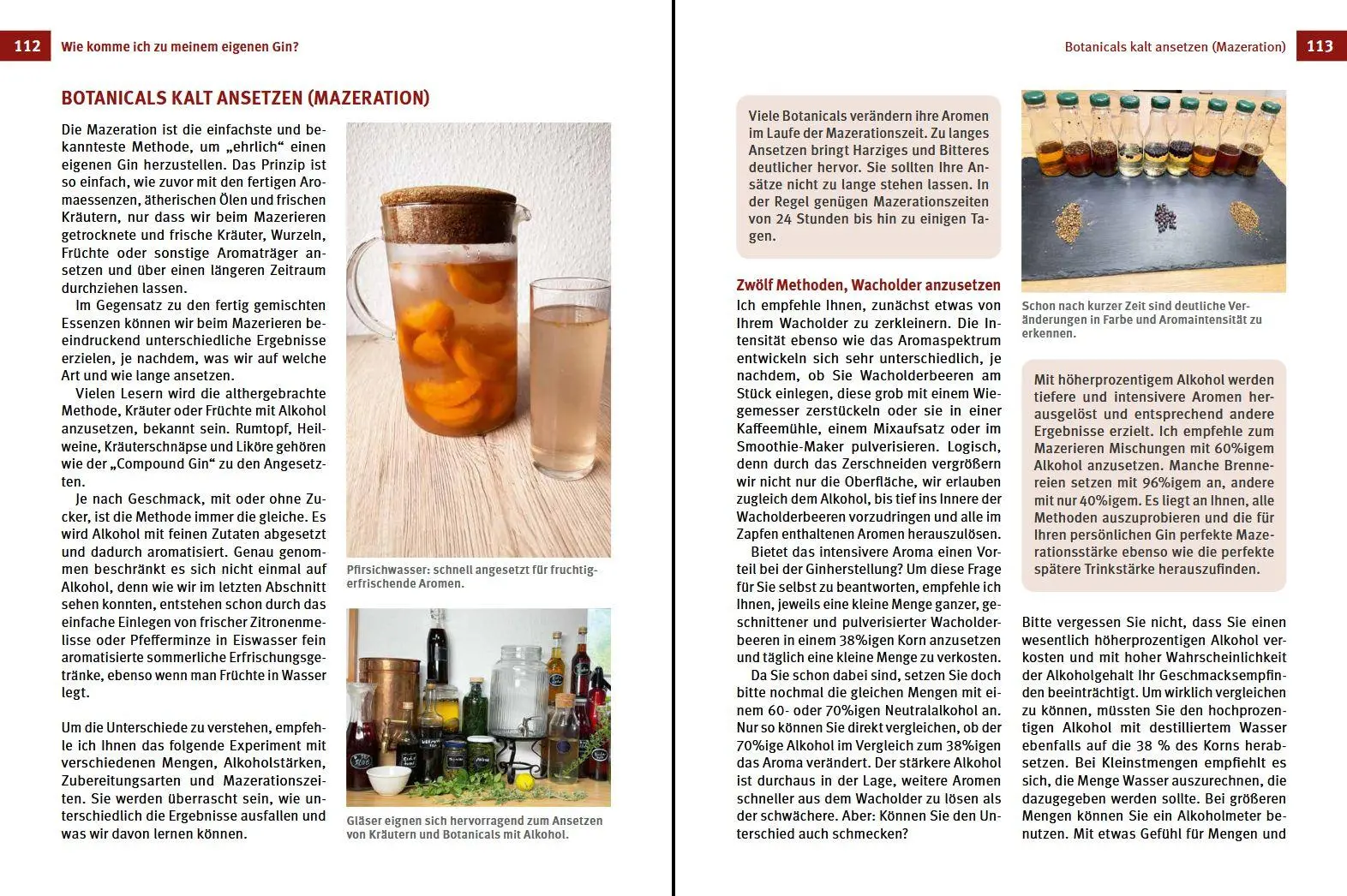Bild: 9783702019457 | Gin zuhause selbst gemacht | Der eigene Weg zum Trendgetränk | Möller