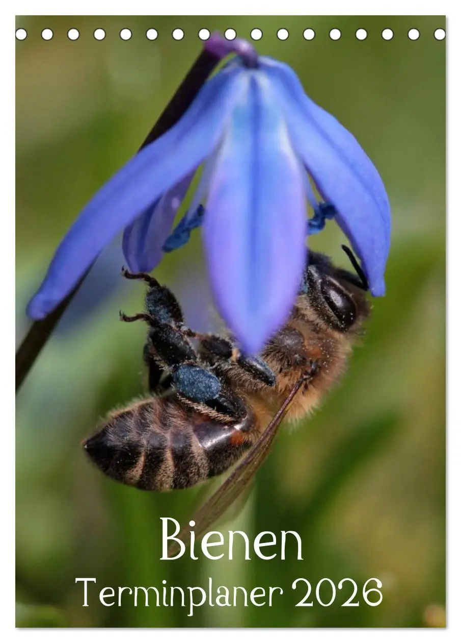 Cover: 9783516439557 | Bienen-Terminplaner 2026 (Tischkalender 2026 DIN A5 hoch), CALVENDO...