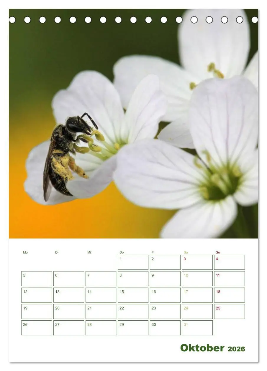 Bild: 9783516439557 | Bienen-Terminplaner 2026 (Tischkalender 2026 DIN A5 hoch), CALVENDO...