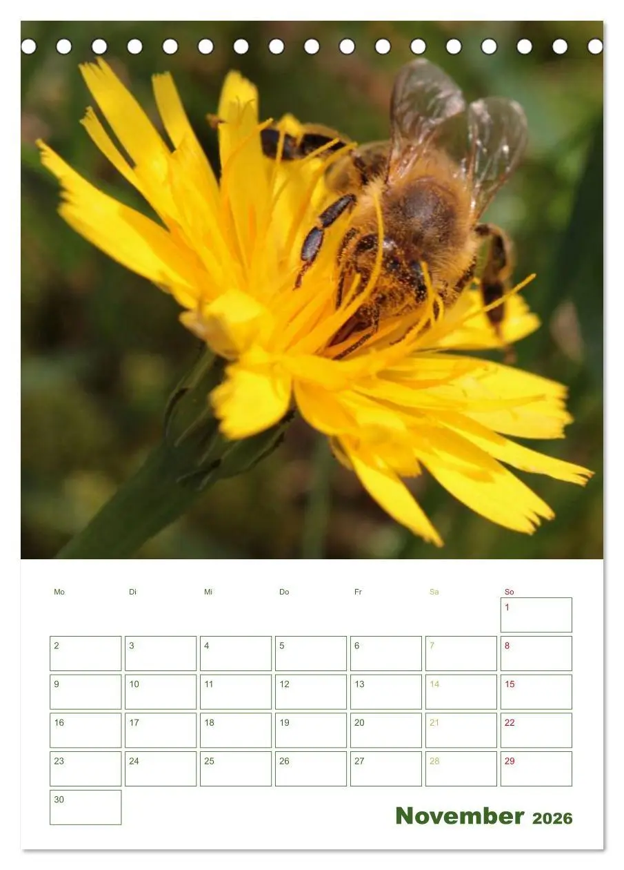 Bild: 9783516439557 | Bienen-Terminplaner 2026 (Tischkalender 2026 DIN A5 hoch), CALVENDO...