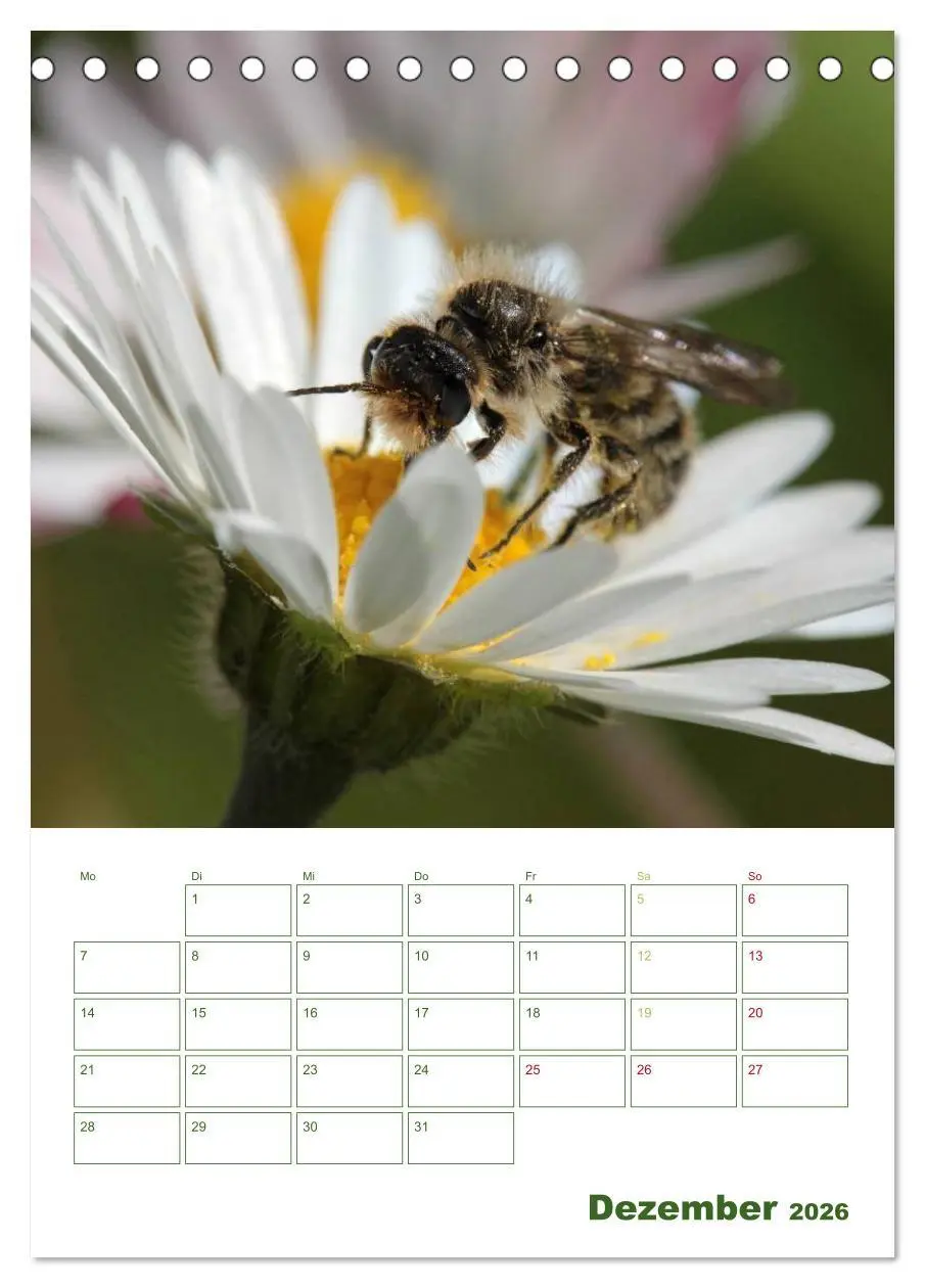 Bild: 9783516439557 | Bienen-Terminplaner 2026 (Tischkalender 2026 DIN A5 hoch), CALVENDO...