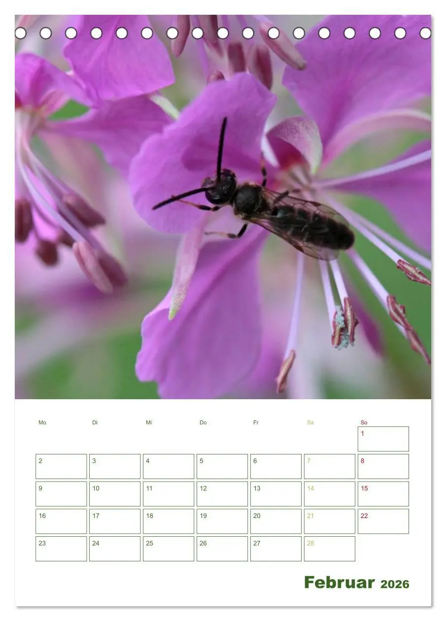 Bild: 9783516439557 | Bienen-Terminplaner 2026 (Tischkalender 2026 DIN A5 hoch), CALVENDO...