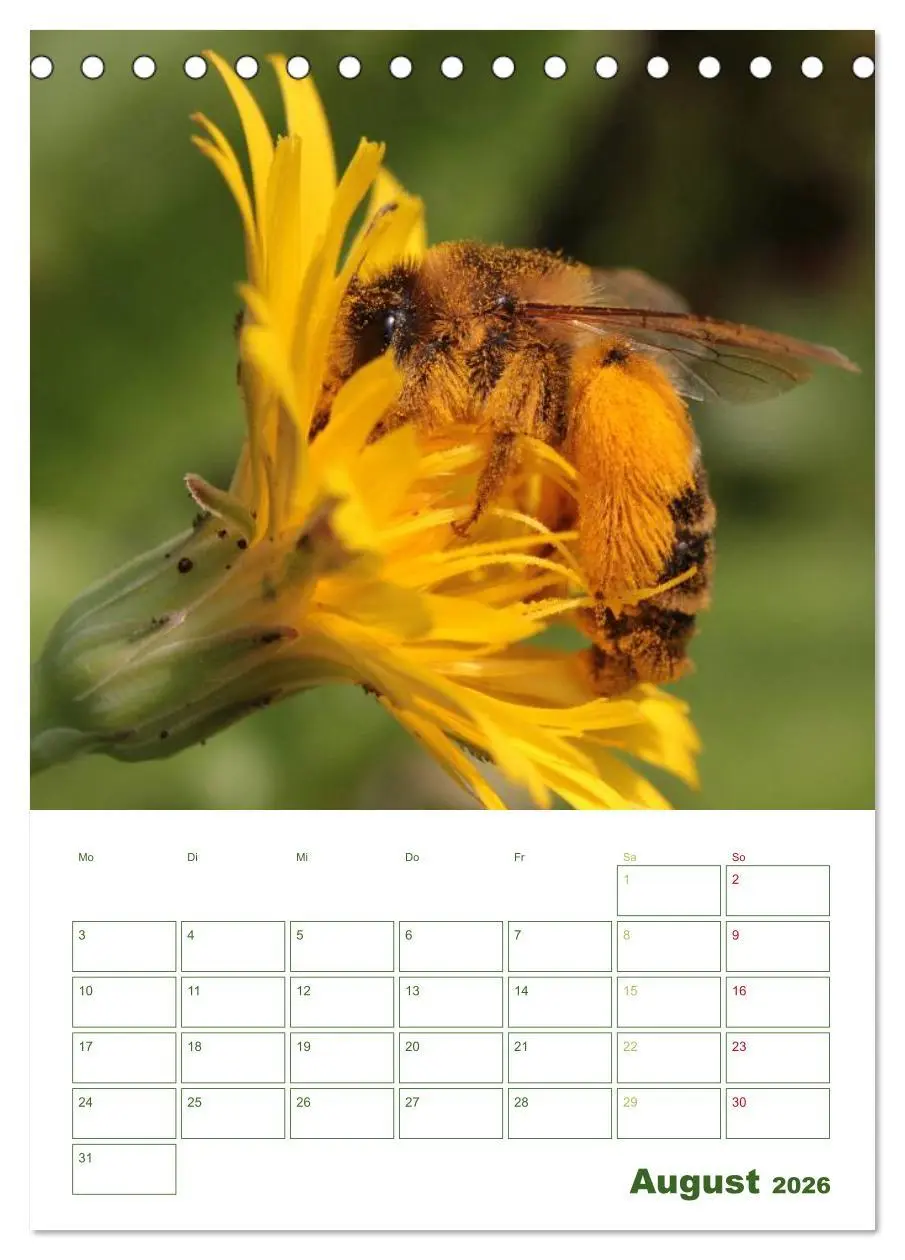 Bild: 9783516439557 | Bienen-Terminplaner 2026 (Tischkalender 2026 DIN A5 hoch), CALVENDO...
