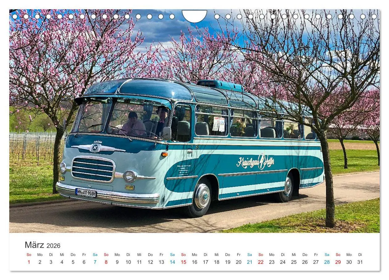 Bild: 9783457339657 | Omnibusse im Fokus (Wandkalender 2026 DIN A4 quer), CALVENDO...