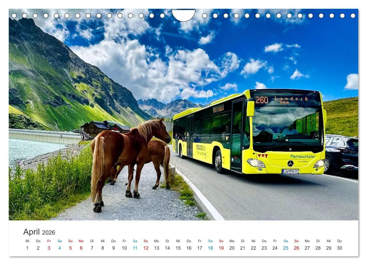 Bild: 9783457339657 | Omnibusse im Fokus (Wandkalender 2026 DIN A4 quer), CALVENDO...