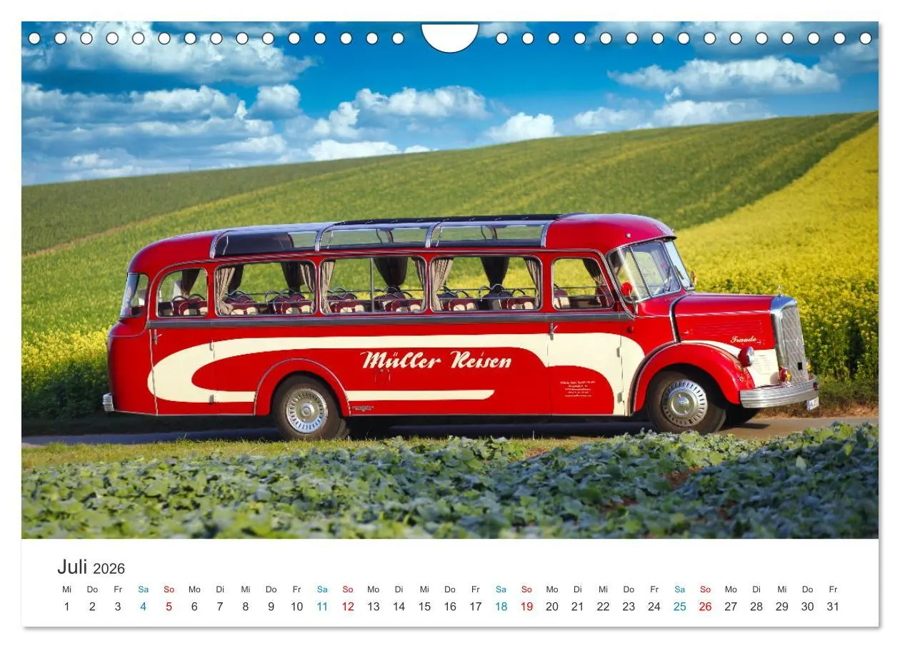 Bild: 9783457339657 | Omnibusse im Fokus (Wandkalender 2026 DIN A4 quer), CALVENDO...