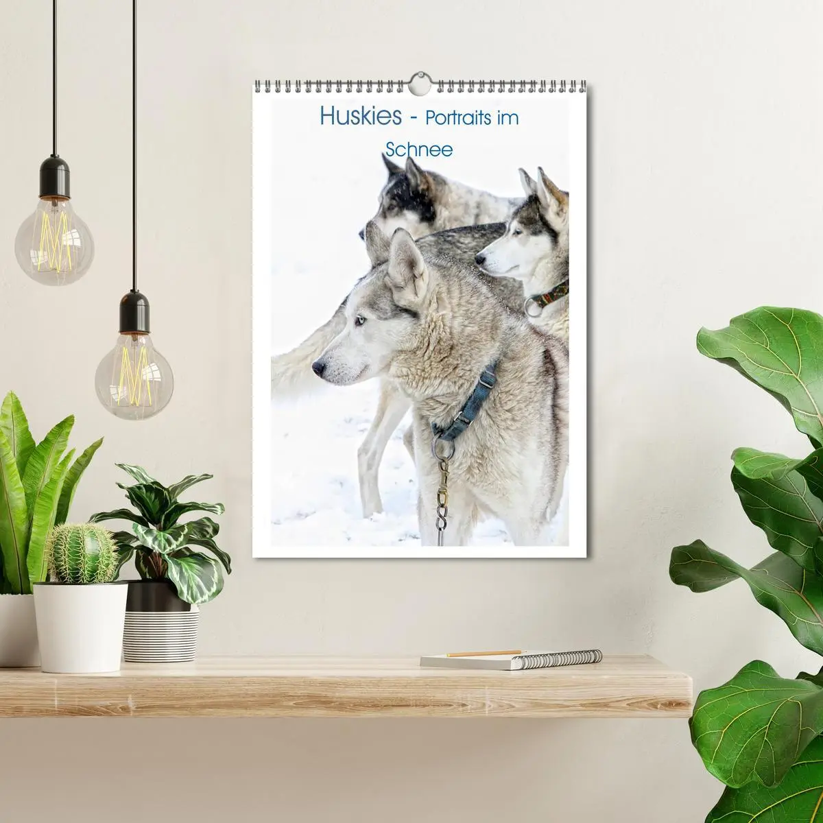 Bild: 9783516429657 | Huskies - Portraits im Schnee (Wandkalender 2026 DIN A3 hoch),...