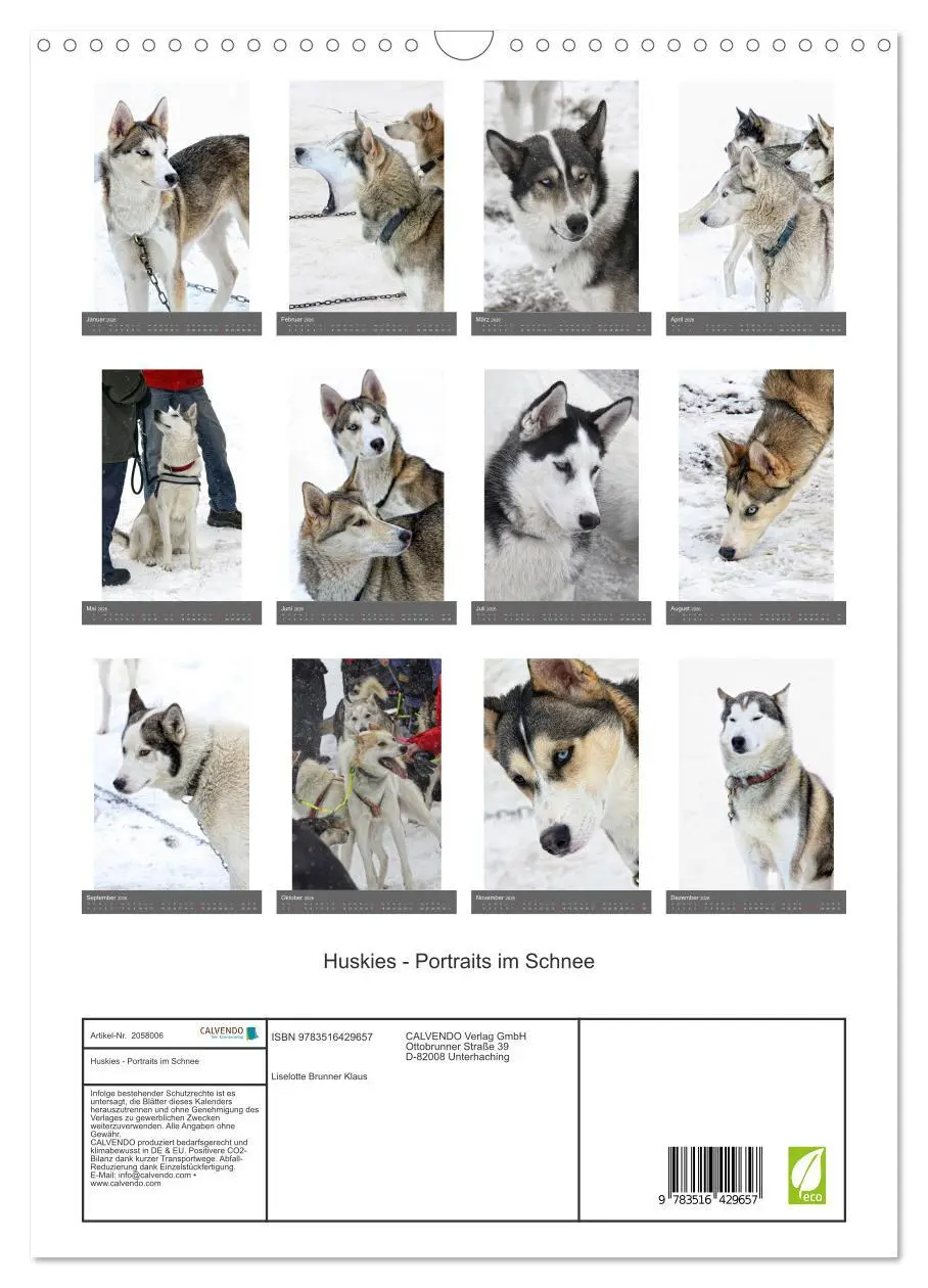 Bild: 9783516429657 | Huskies - Portraits im Schnee (Wandkalender 2026 DIN A3 hoch),...