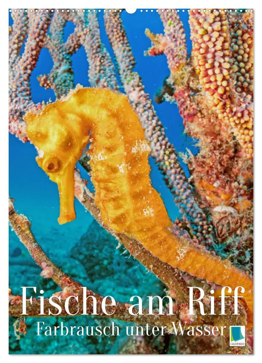 Cover: 9783516599657 | Farbrausch unter Wasser: Fische am Riff (Wandkalender 2026 DIN A2...