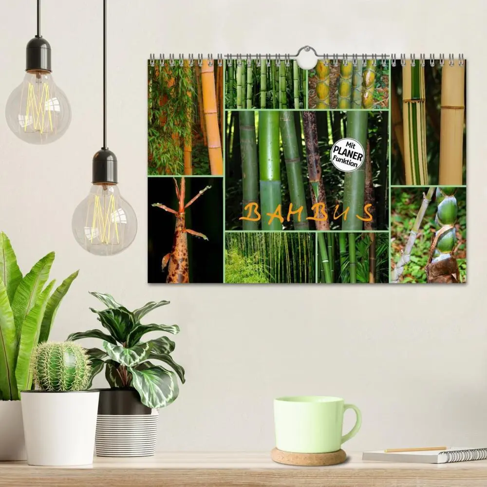 Bild: 9783435549757 | BAMBUS (Wandkalender 2025 DIN A4 quer), CALVENDO Monatskalender | 2025