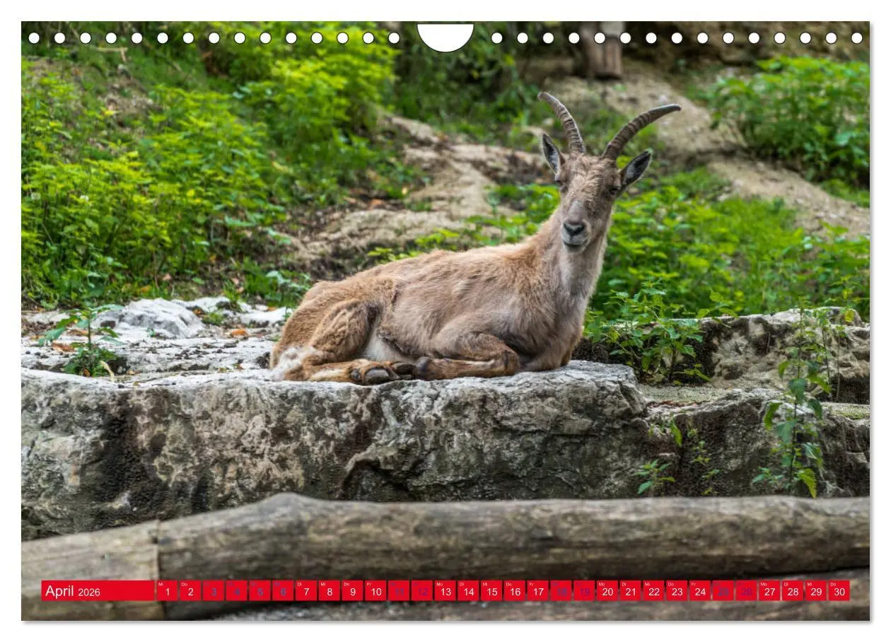 Bild: 9783457879757 | Hallstatt Impressionen (Wandkalender 2026 DIN A4 quer), CALVENDO...