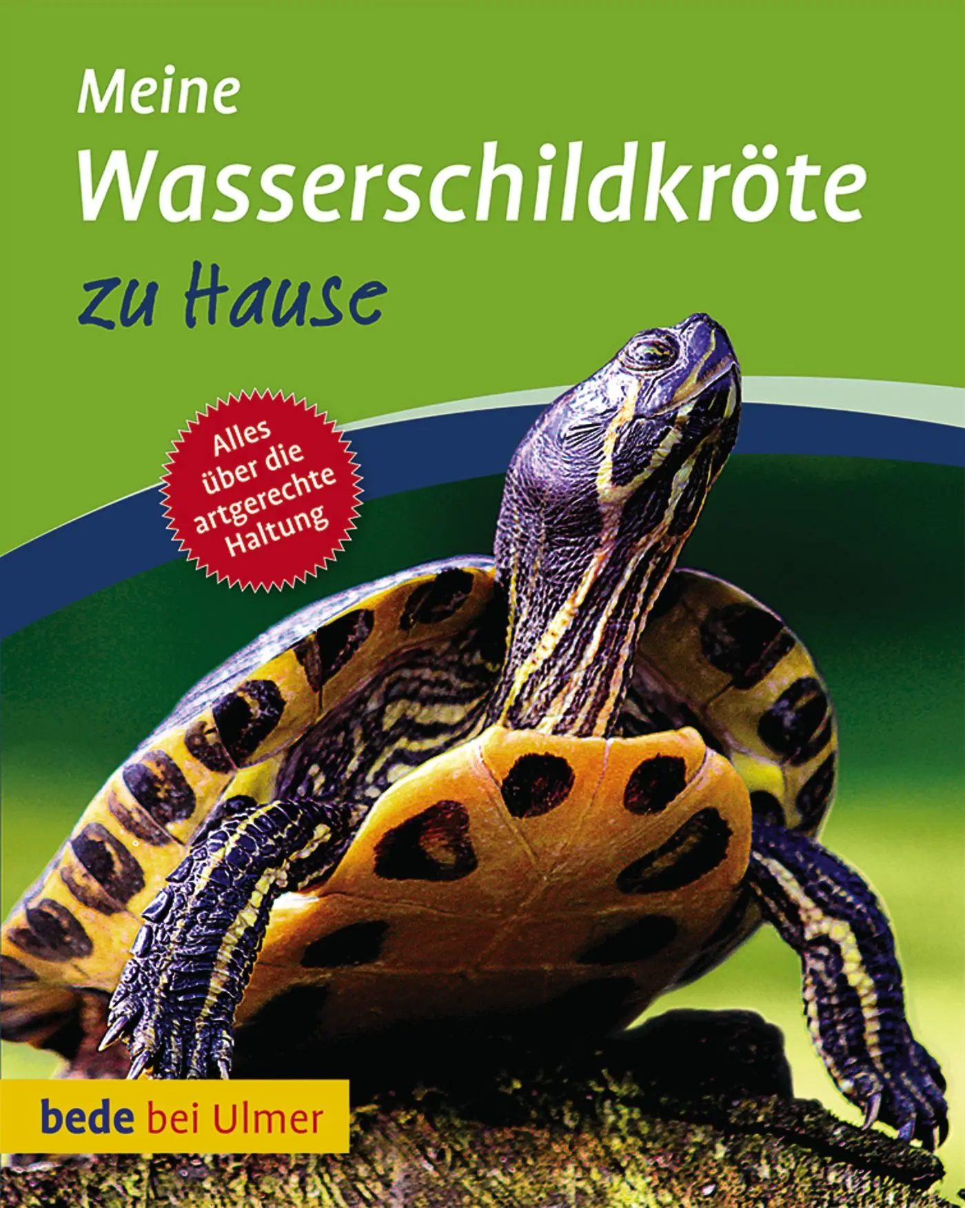 Cover: 9783800169757 | Meine Wasserschildkröte zu Hause | Tina/Schneider, Eva-Grit Gorf