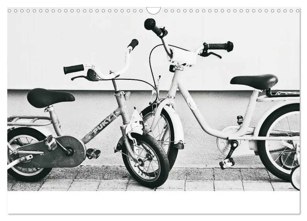 Bild: 9783435469857 | 200 Jahre Fahrrad - Ausschnitte von Ulrike SSK (Wandkalender 2025...