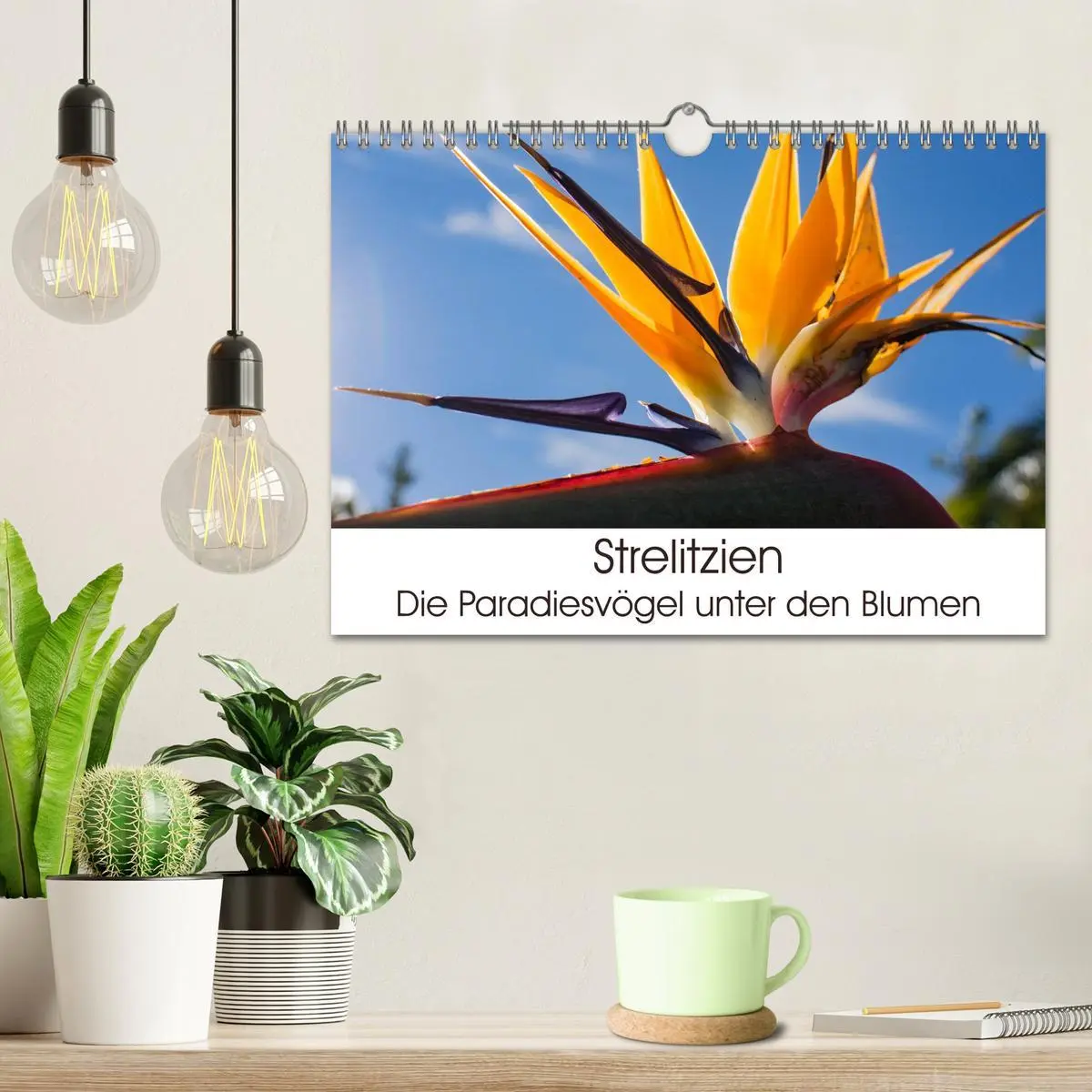Bild: 9783457939857 | Strelitzien - die Paradiesvögel unter den Blumen (Wandkalender 2026...