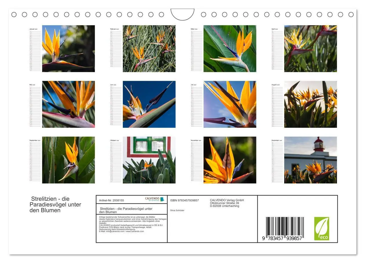 Bild: 9783457939857 | Strelitzien - die Paradiesvögel unter den Blumen (Wandkalender 2026...