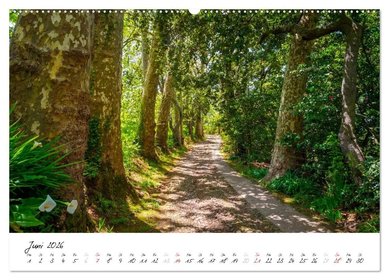 Bild: 9783516019957 | Madeira - ewiger Frühling (Wandkalender 2026 DIN A2 quer), CALVENDO...