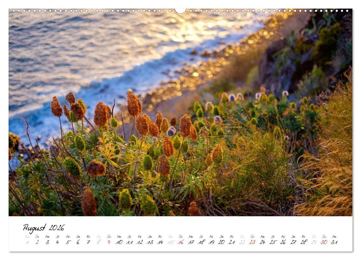 Bild: 9783516019957 | Madeira - ewiger Frühling (Wandkalender 2026 DIN A2 quer), CALVENDO...