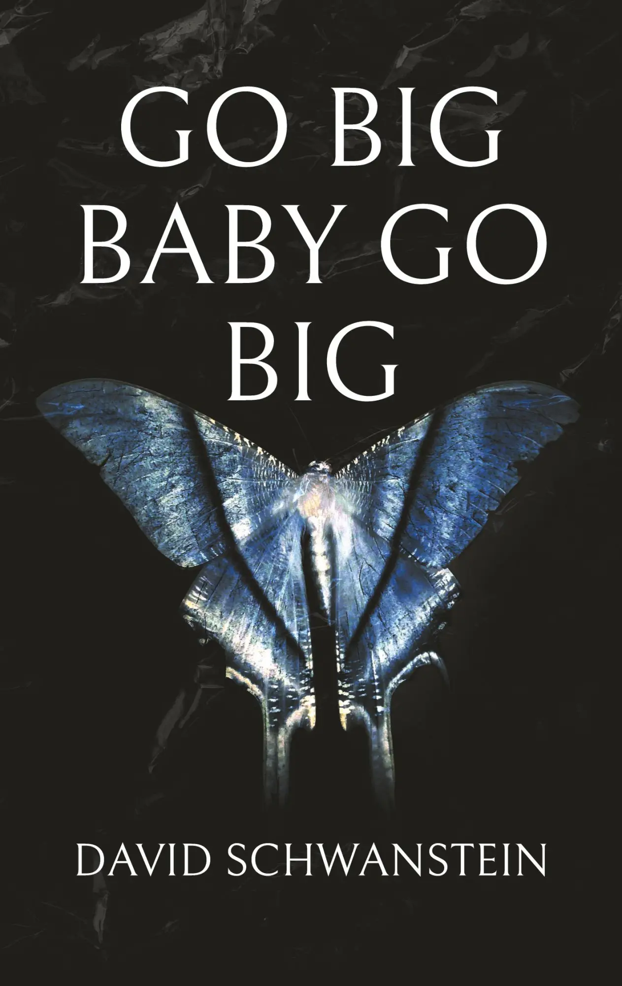 Go big baby go big: Wie Sie als Big Player das Spiel des Lebens gewinnen und die Welt retten