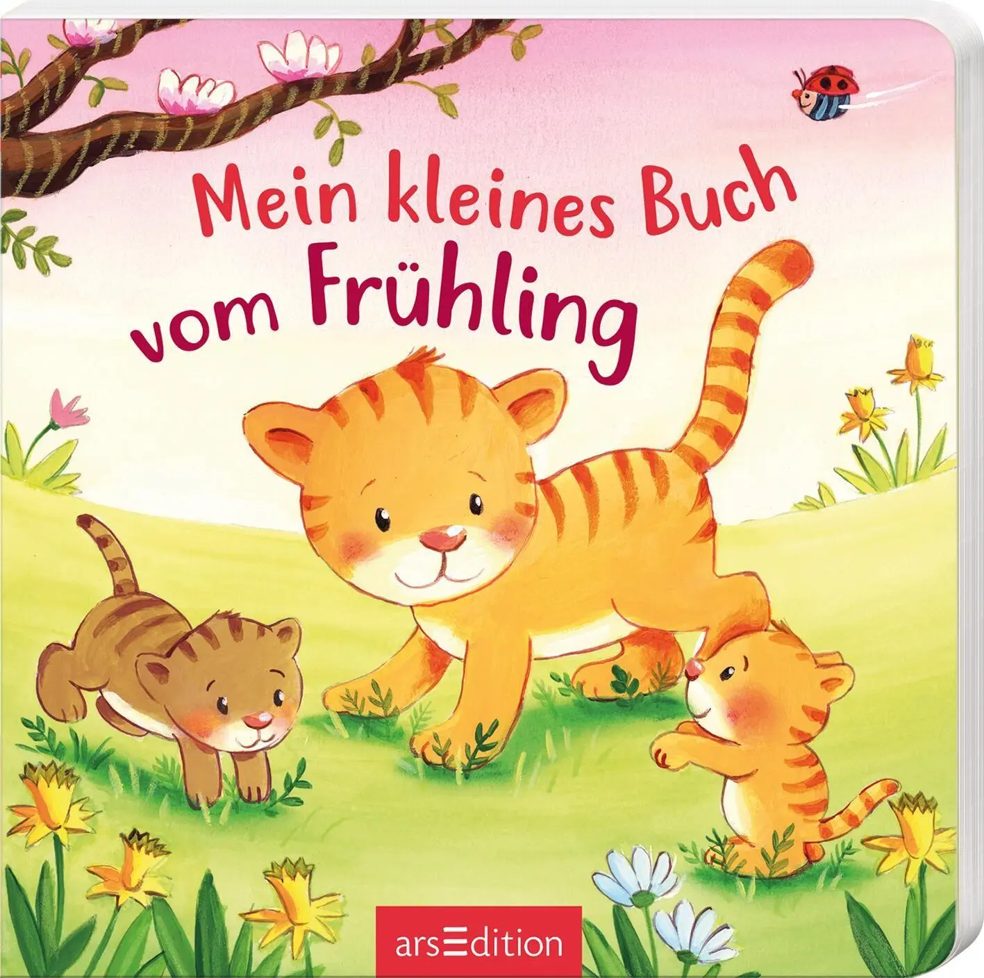 Cover: 9783845869957 | Mein kleines Buch vom Frühling | Sabine Kraushaar | Buch | 12 S.