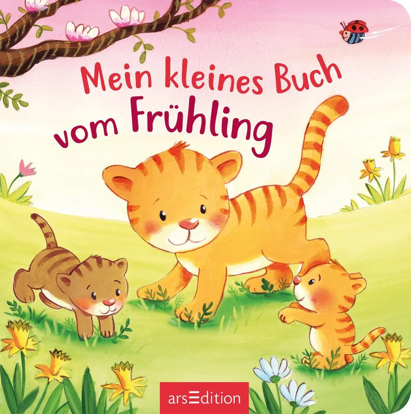 Bild: 9783845869957 | Mein kleines Buch vom Frühling | Sabine Kraushaar | Buch | 12 S.