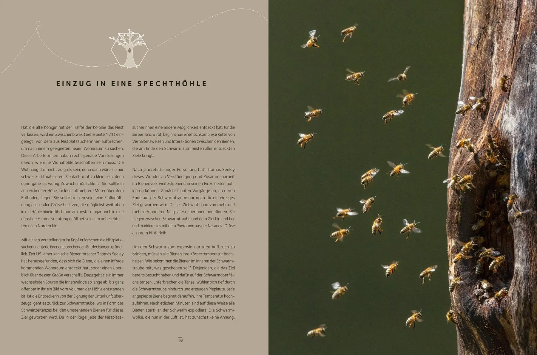 Bild: 9783957289957 | Honigbienen - Geheimnisvolle Waldbewohner | Ingo Arndt (u. a.) | Buch