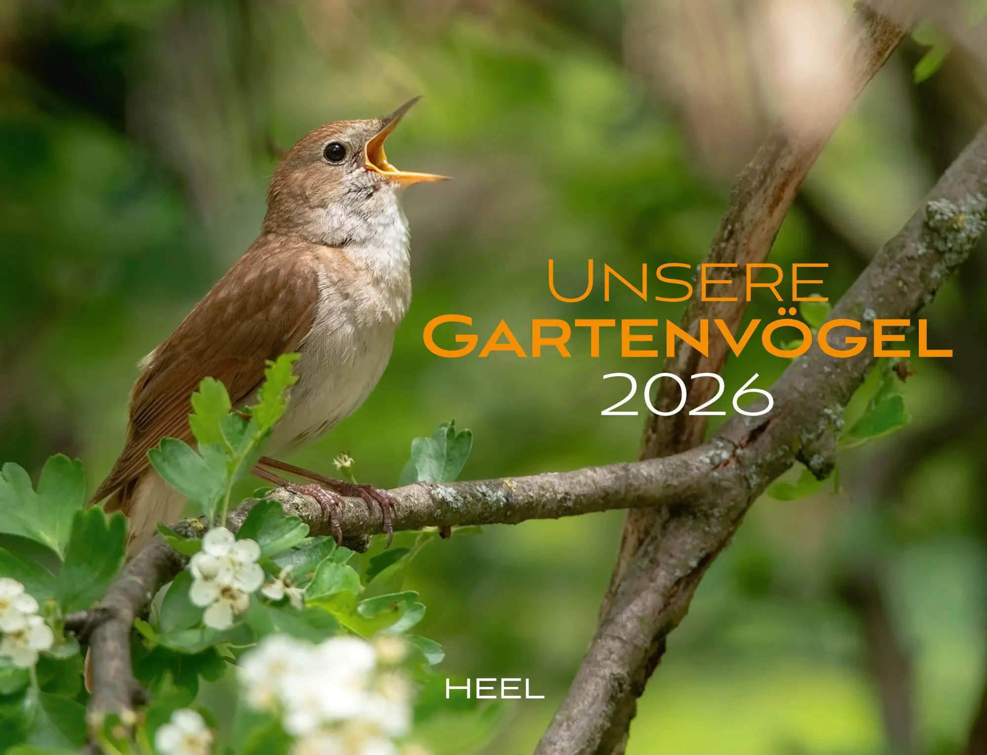 Cover: 9783966649957 | Kalender Unsere Gartenvögel 2026 Eintragkalender | Kalender | 14 S.