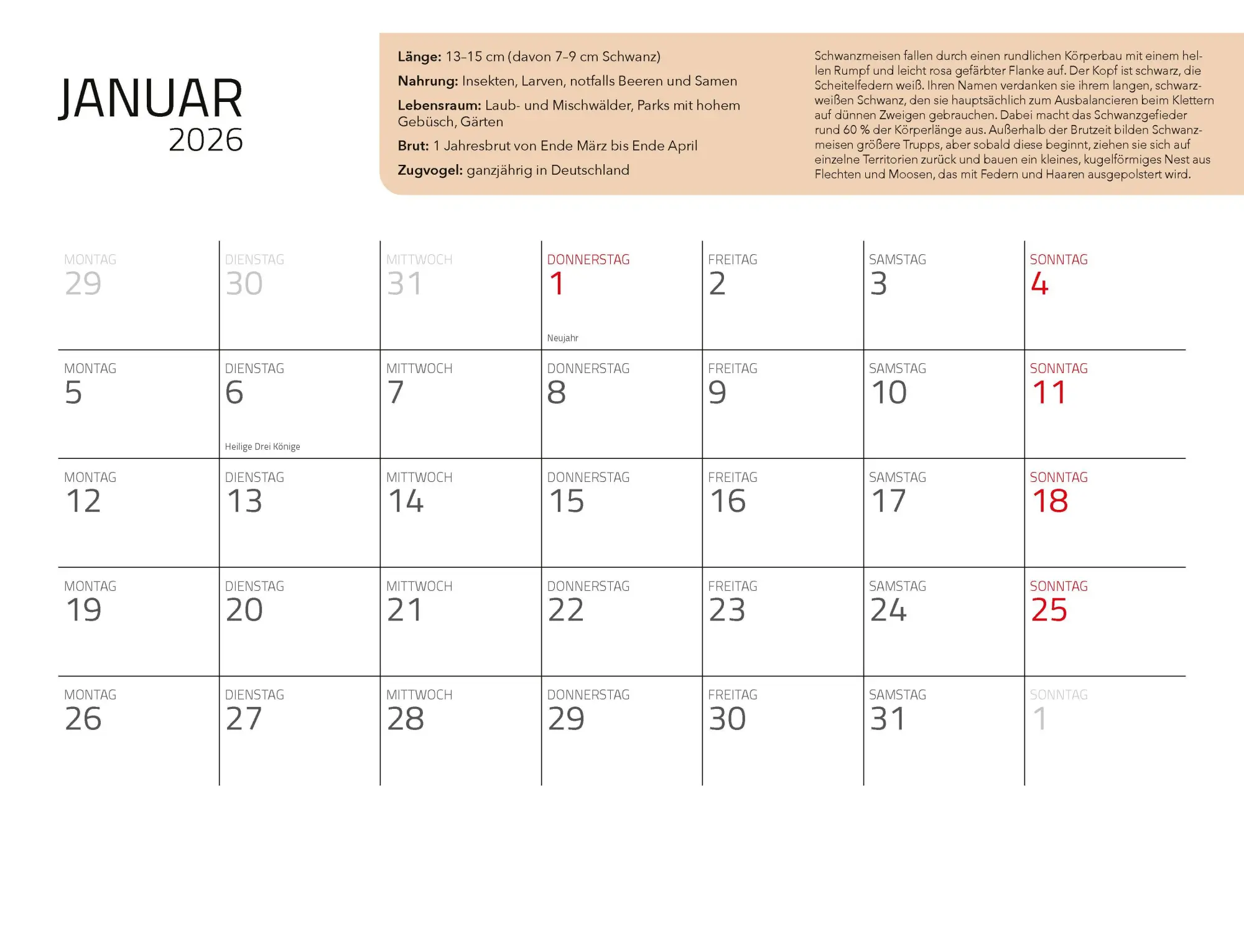Bild: 9783966649957 | Kalender Unsere Gartenvögel 2026 Eintragkalender | Kalender | 14 S.