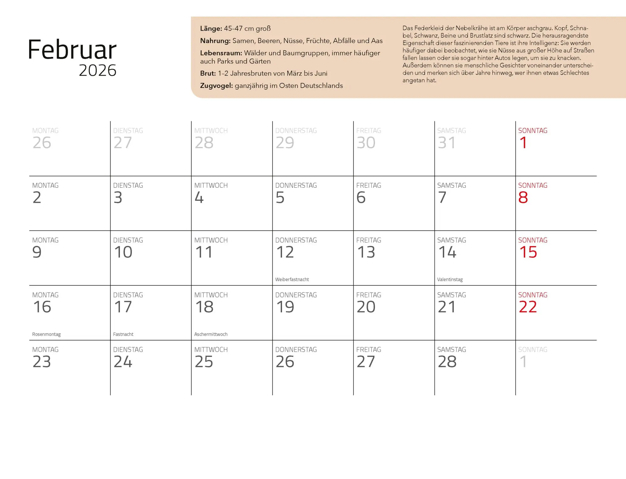 Bild: 9783966649957 | Kalender Unsere Gartenvögel 2026 Eintragkalender | Kalender | 14 S.