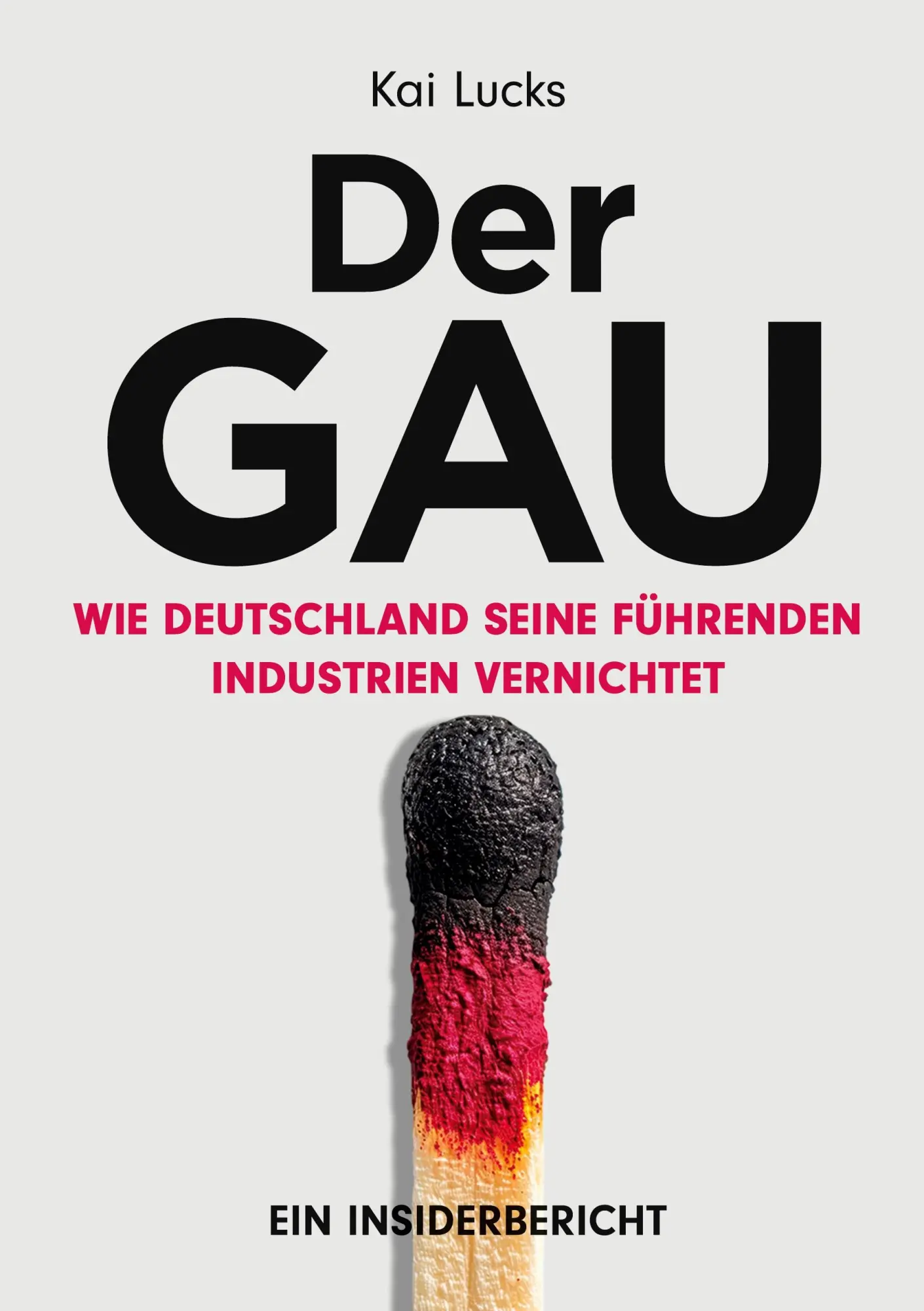 Cover: 9783982629957 | Der GAU- wie Deutschland seine führenden Industrien vernichtet | Lucks