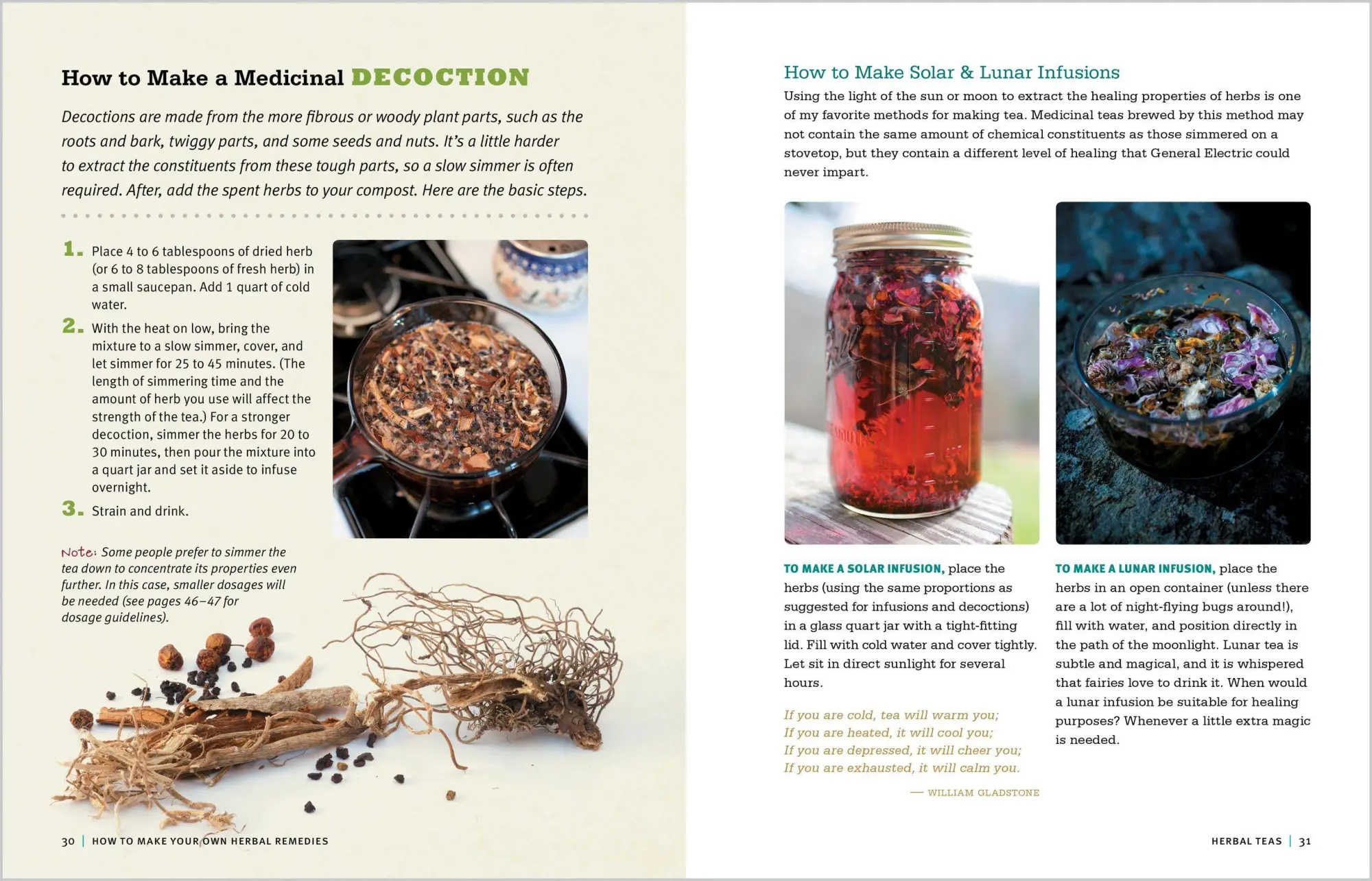 Bild: 9781612120058 | Rosemary Gladstar's Medicinal Herbs: A Beginner's Guide | Gladstar