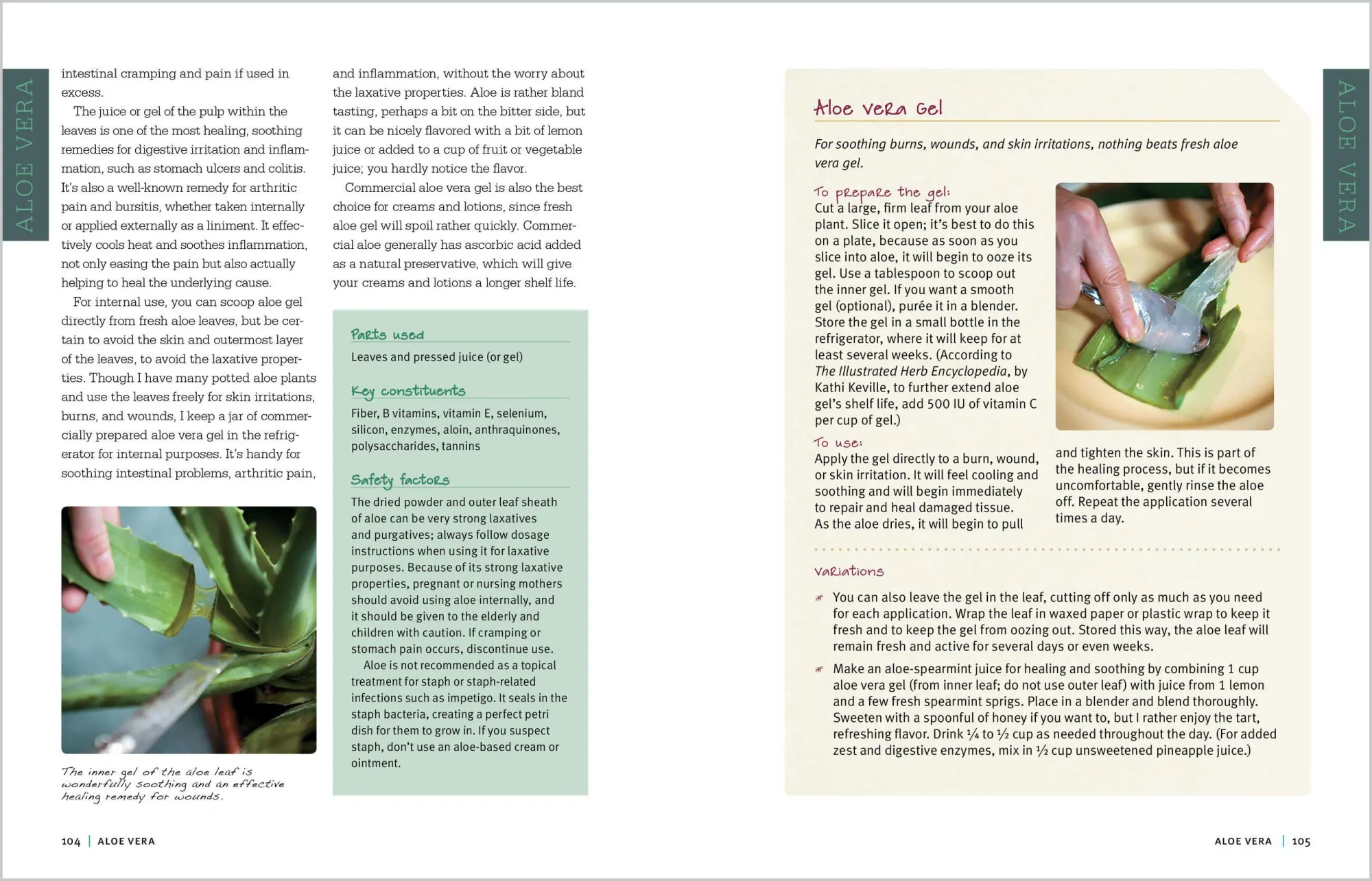 Bild: 9781612120058 | Rosemary Gladstar's Medicinal Herbs: A Beginner's Guide | Gladstar