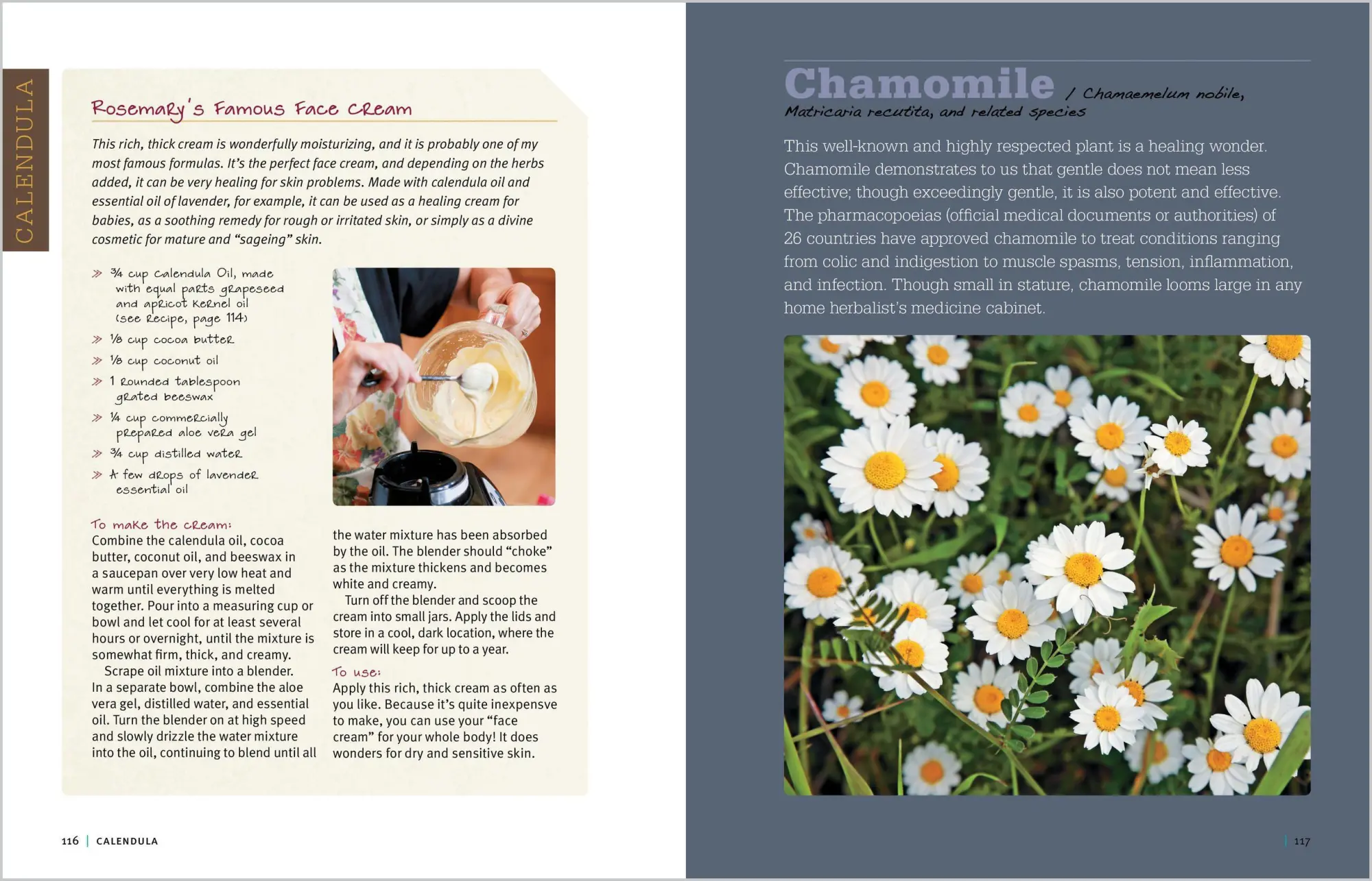 Bild: 9781612120058 | Rosemary Gladstar's Medicinal Herbs: A Beginner's Guide | Gladstar
