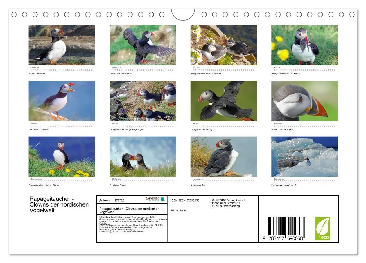 Bild: 9783457590058 | Papageitaucher - Clowns der nordischen Vogelwelt (Wandkalender 2026...