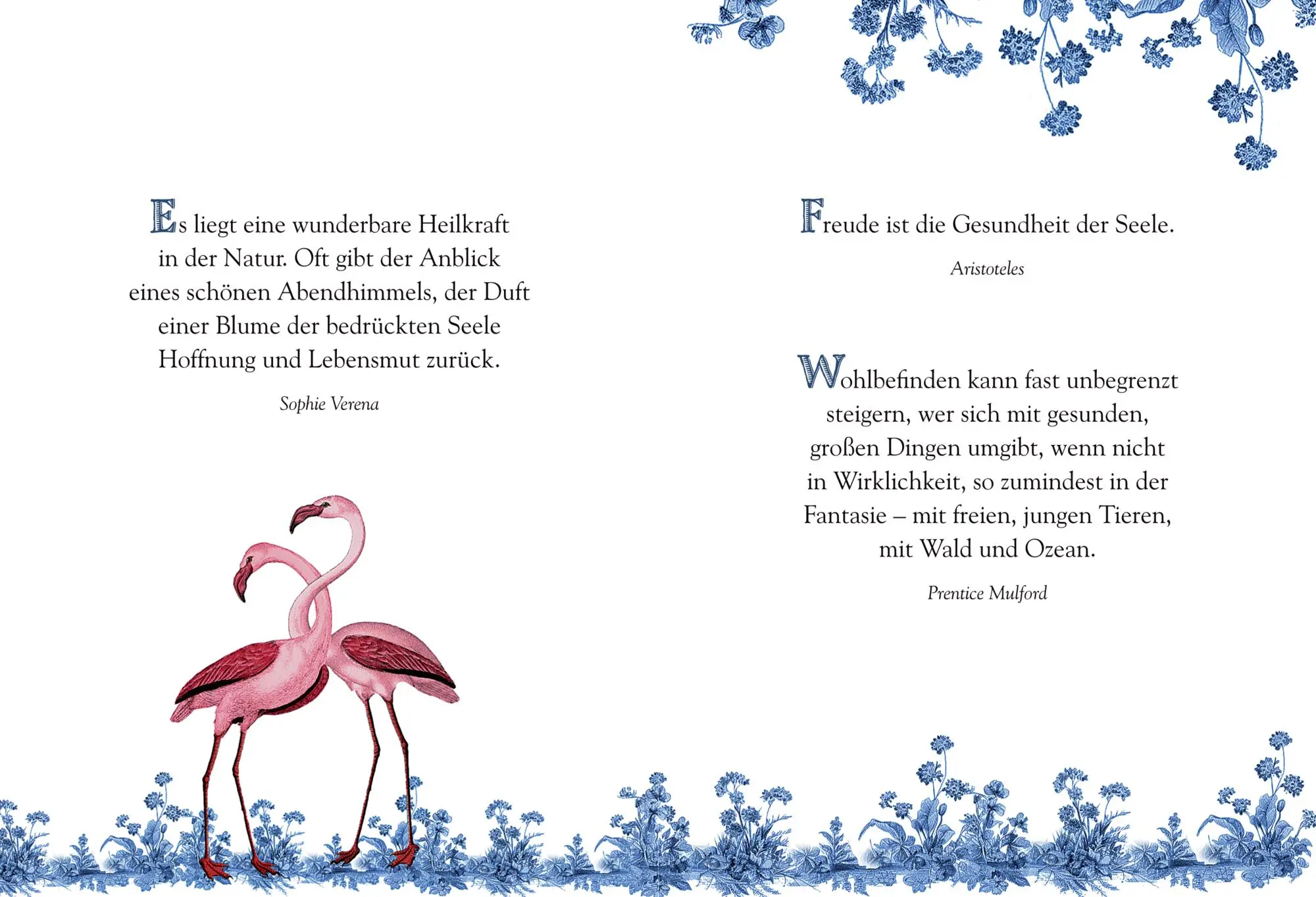 Bild: 9783649650058 | Gute Besserung | Werd schnell wieder gesund | Barbara Behr | Buch