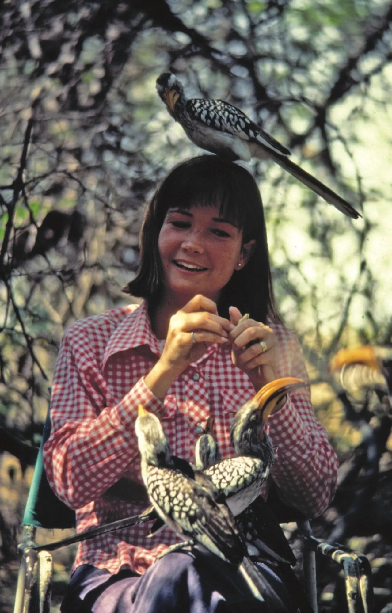 Autor: 9783690450058 | Der Ruf der Kalahari | Delia Owens (u. a.) | Taschenbuch | 512 S.