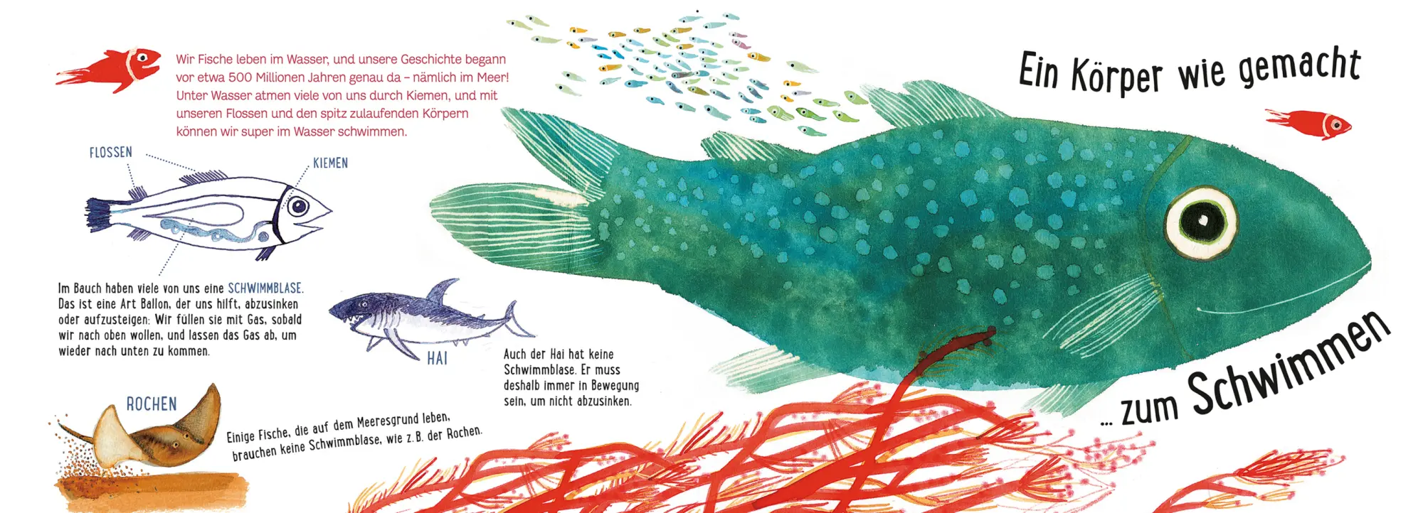 Bild: 9783734860058 | Lerne uns kennen - Die Fische | Lucia Scuderi | Buch | 40 S. | Deutsch